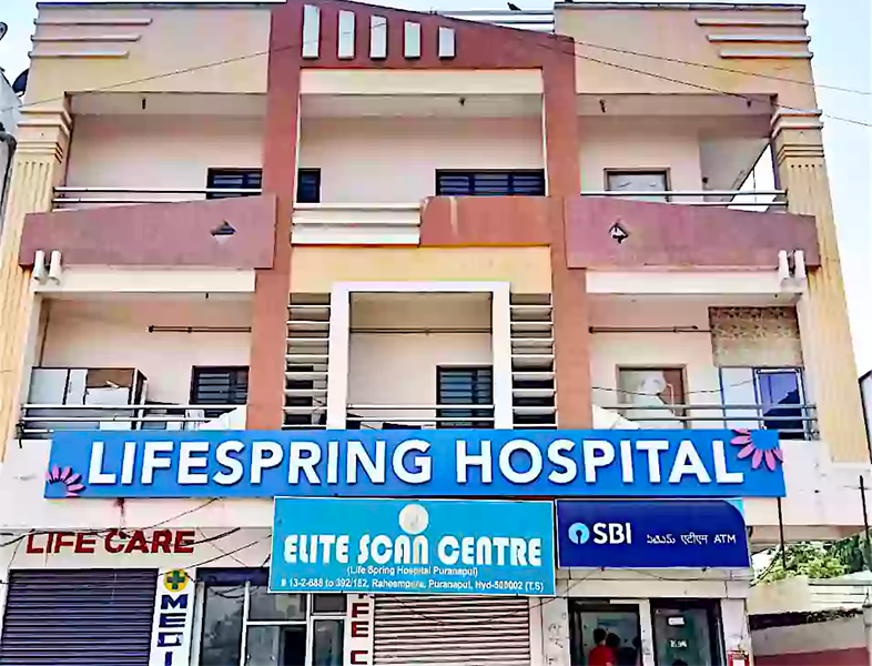 Puranapool LifeSpring